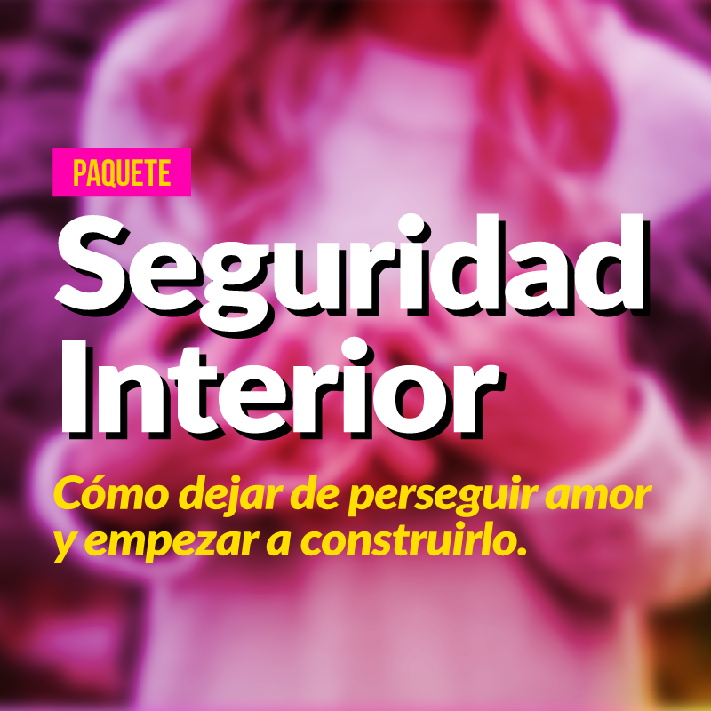 Seguridad interior